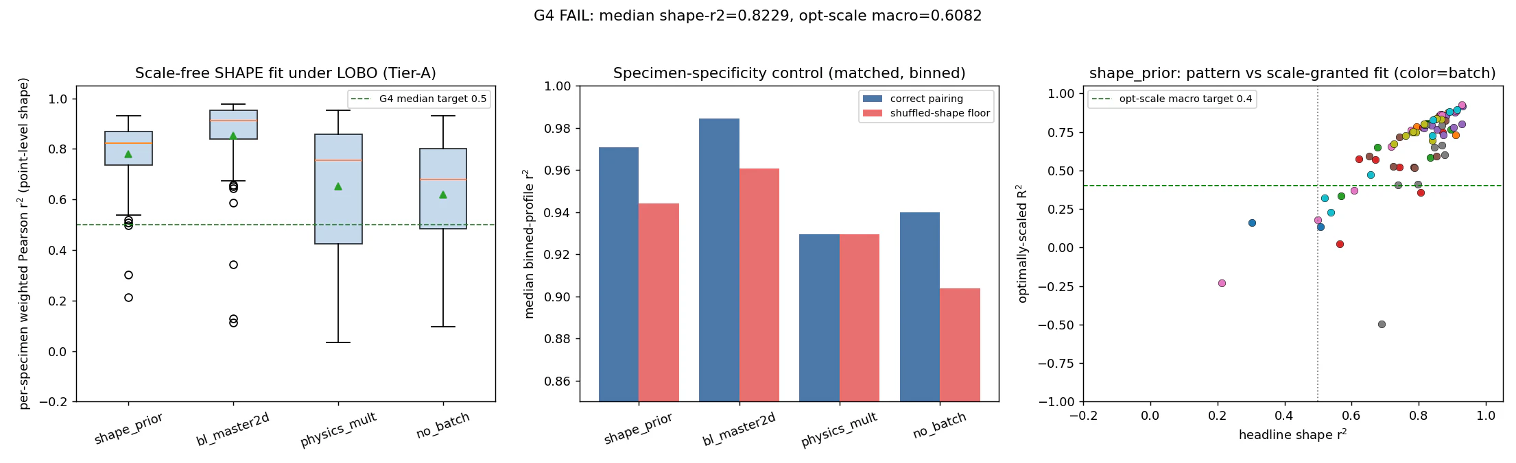 Three panels of the scale-free shape transfer test: box plots of per-specimen r² by method, matched against shuffled-shape control bars, and a scatter of optimal-scale R² against headline shape r²