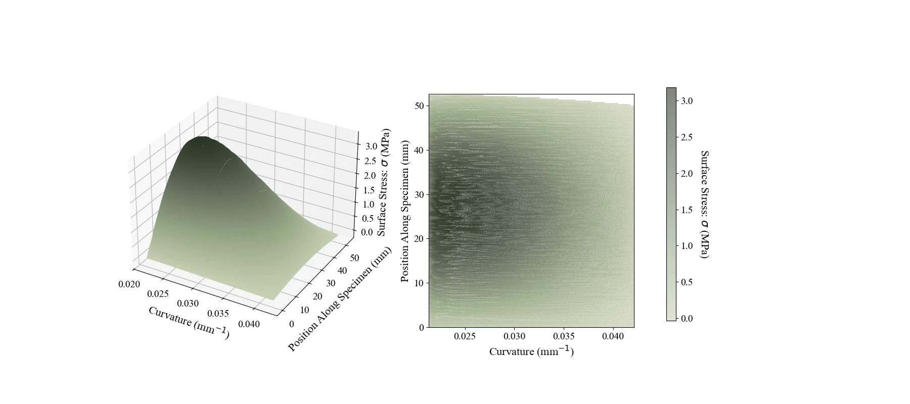 The target quantity: surface stress over curvature and position along the specimen, as a 3D surface and a heatmap in muted green