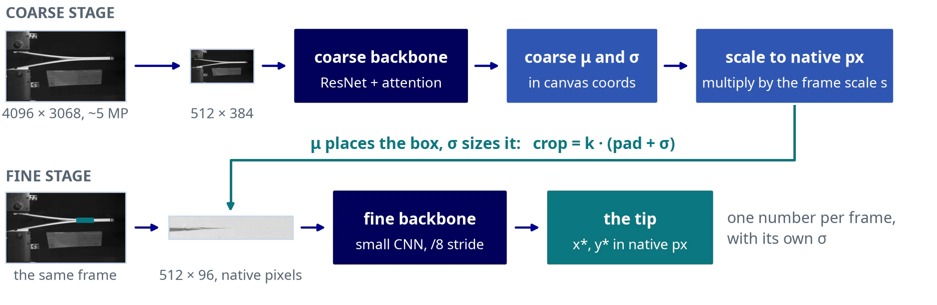 Diagram of the coarse-to-fine pipeline: coarse network places and sizes a crop, fine network reads the tip at native pixels